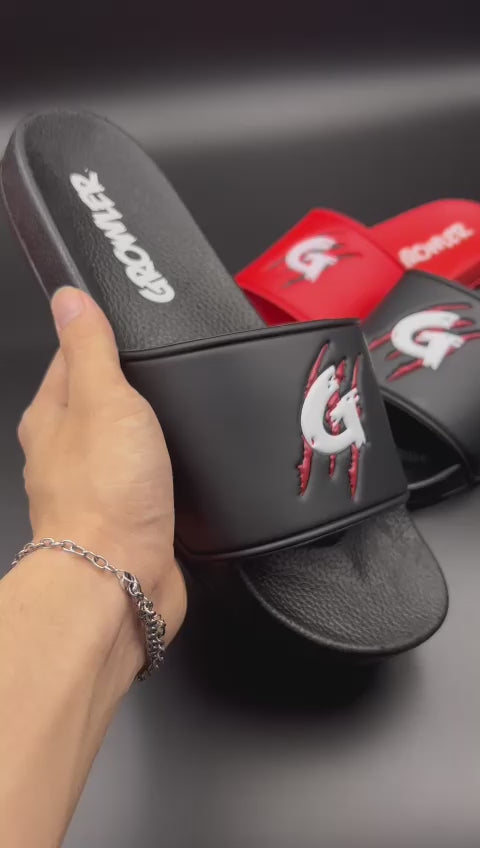 Slides